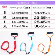 Pet Leash Dog Collar, Dog Leash, Dog Chain