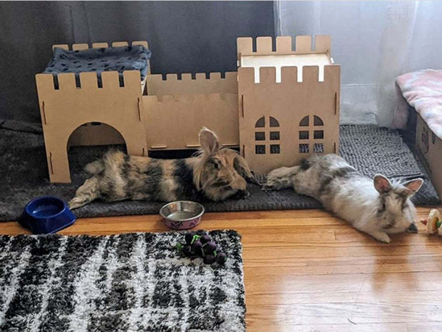 Cozy, sturdy, stylish shelter for rabbits and guinea pigs alike!