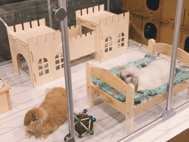 Cozy, sturdy, stylish shelter for rabbits and guinea pigs alike!