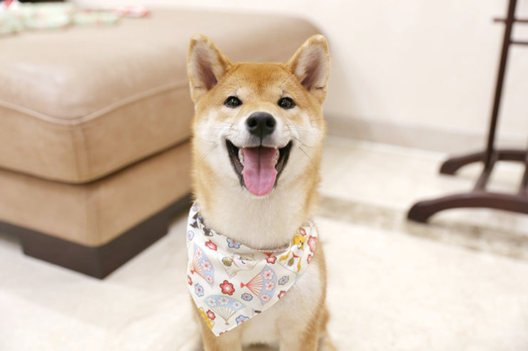 Saliva towel dog Japanese saliva triangle scarf