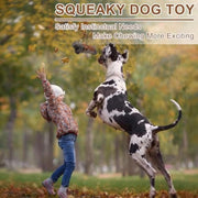Tough Dog Toys For Aggressive Chewers Large Breed Indestructible Dog Toys