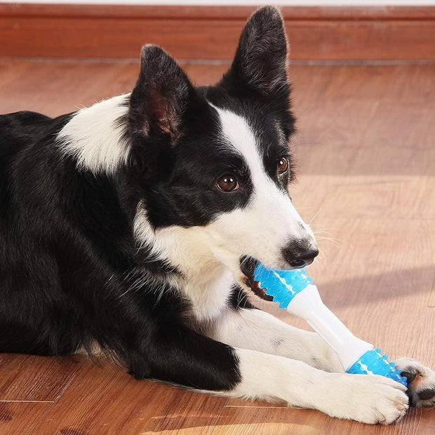 Puppy Teething Chew Toys Up To Dog Dental Chew Toys