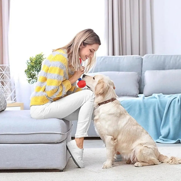 Interactive Dog Toy Ball Interactive Teether With Rope