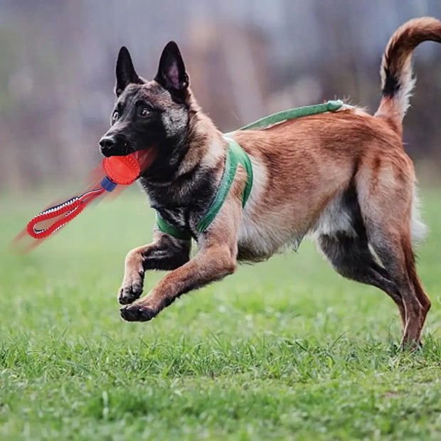 Interactive Dog Toy Ball Interactive Teether With Rope